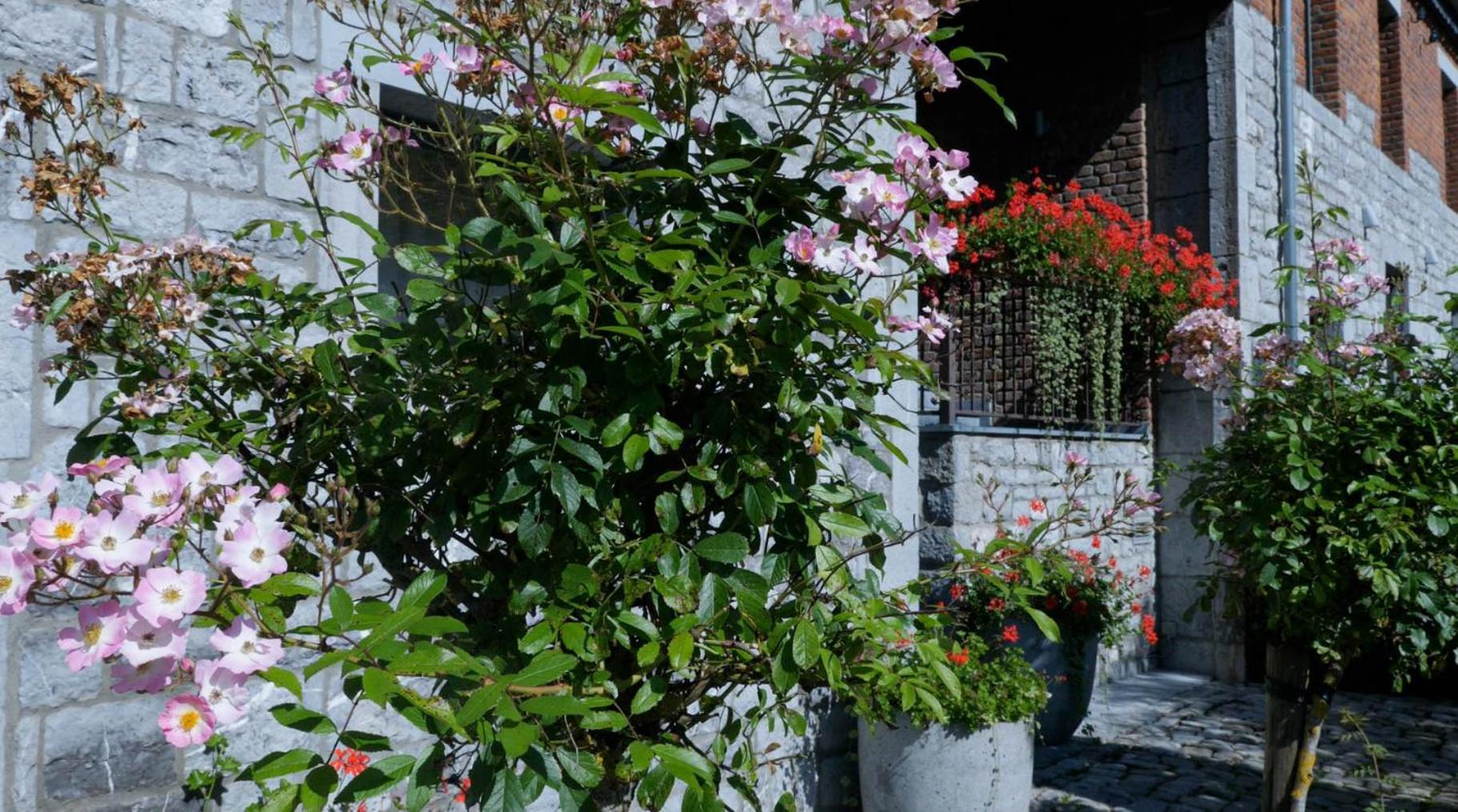Gites Ferme De La Barriere Chimay Exterior foto